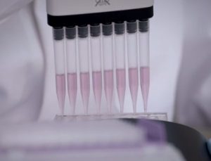 多通道移液。